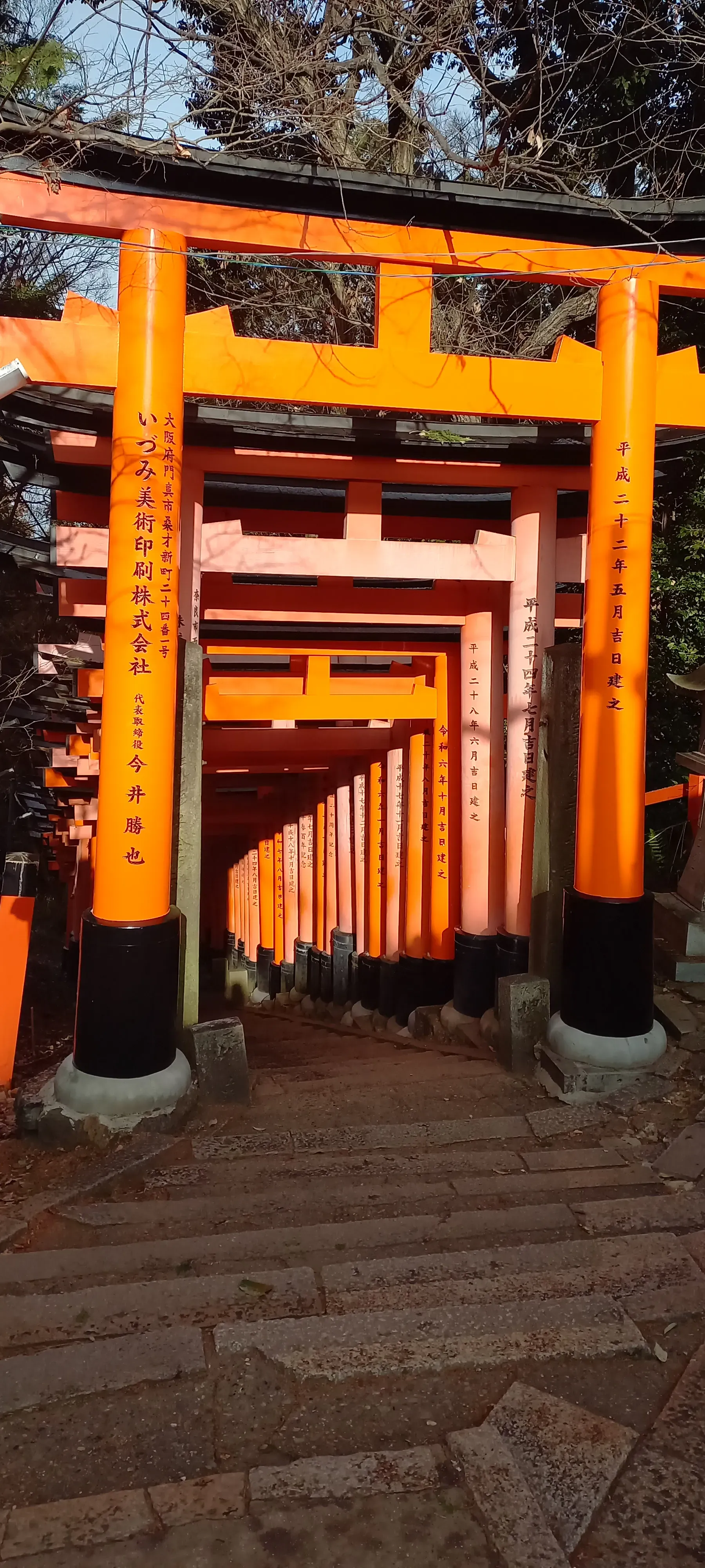 Les torii emblématiques de Kyoto